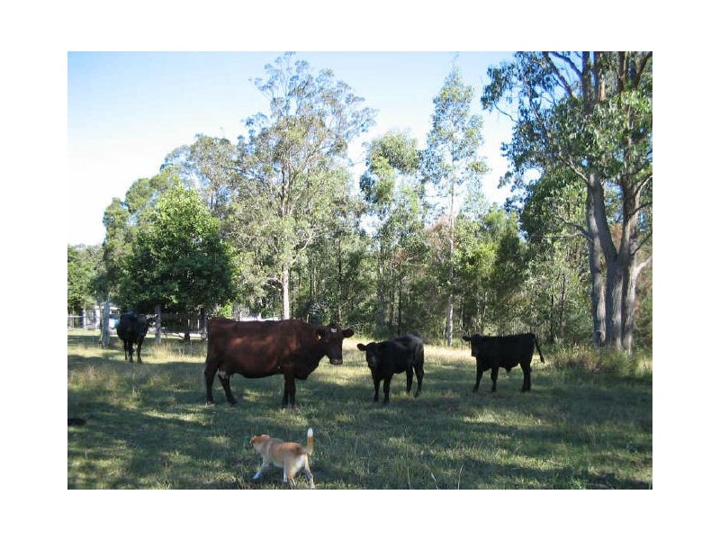 Marlee NSW 2429