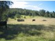 Marlee NSW 2429