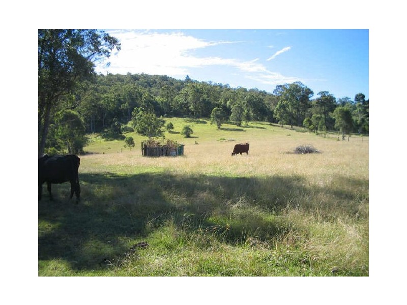 Marlee NSW 2429