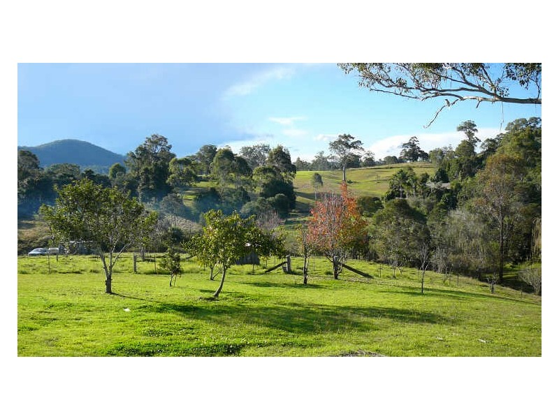 Wingham NSW 2429