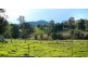 Wingham NSW 2429