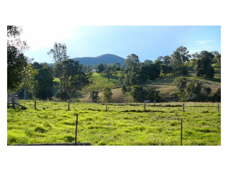 Wingham NSW 2429