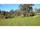 Wingham NSW 2429
