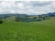 Comboyne NSW 2429