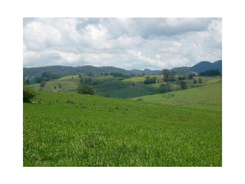 Comboyne NSW 2429
