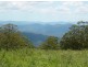 Comboyne NSW 2429