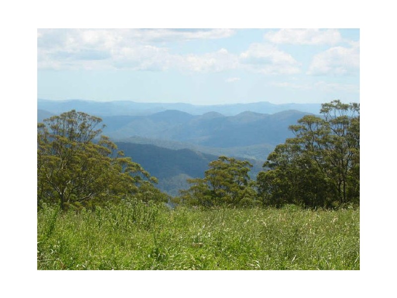 Comboyne NSW 2429