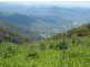 Comboyne NSW 2429