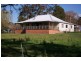 Wingham NSW 2429
