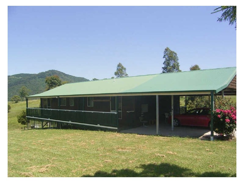 3100 Nowendoc Road, Knorrit Flat NSW 2424