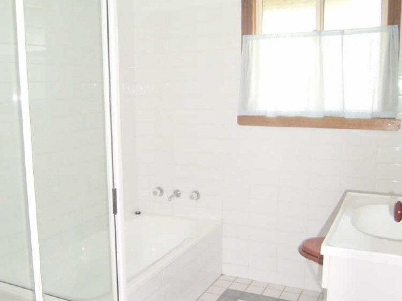 3100 Nowendoc Road, Knorrit Flat NSW 2424