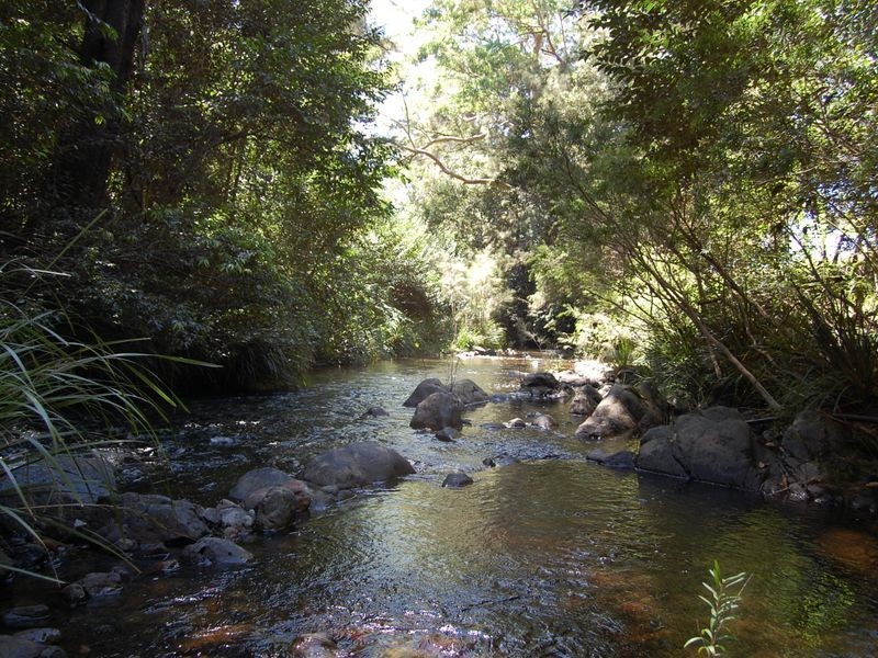 2558 Bulga Road, Bobin NSW 2429