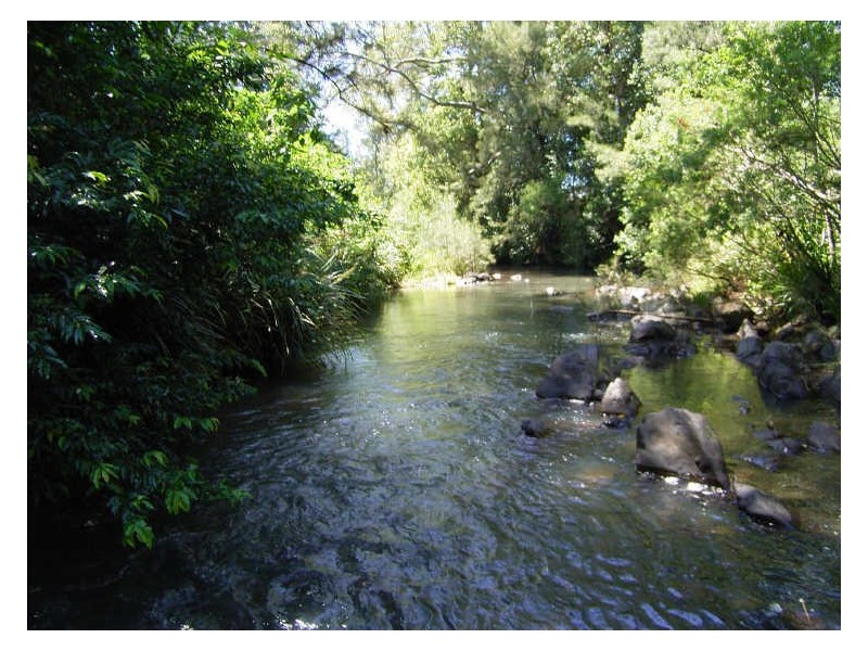 2558 Bulga Road, Bobin NSW 2429