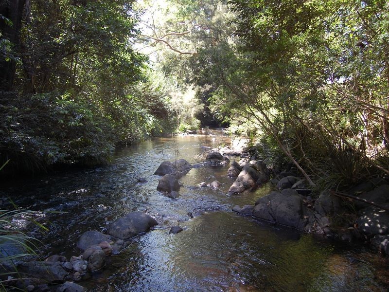 2558 Bulga Road, Bobin NSW 2429