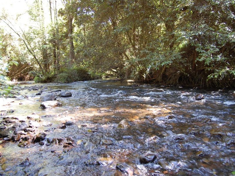 2558 Bulga Road, Bobin NSW 2429