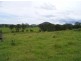 Strathcedar NSW 2429