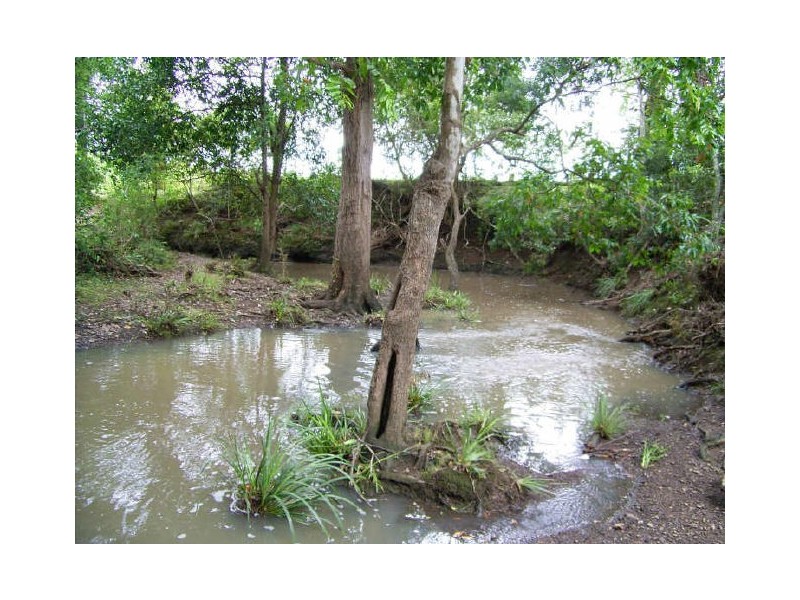 Strathcedar NSW 2429