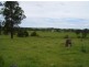 Strathcedar NSW 2429
