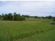 Strathcedar NSW 2429