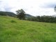 Strathcedar NSW 2429