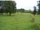 Strathcedar NSW 2429