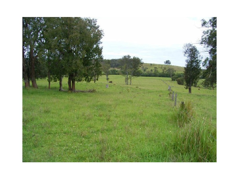 Strathcedar NSW 2429