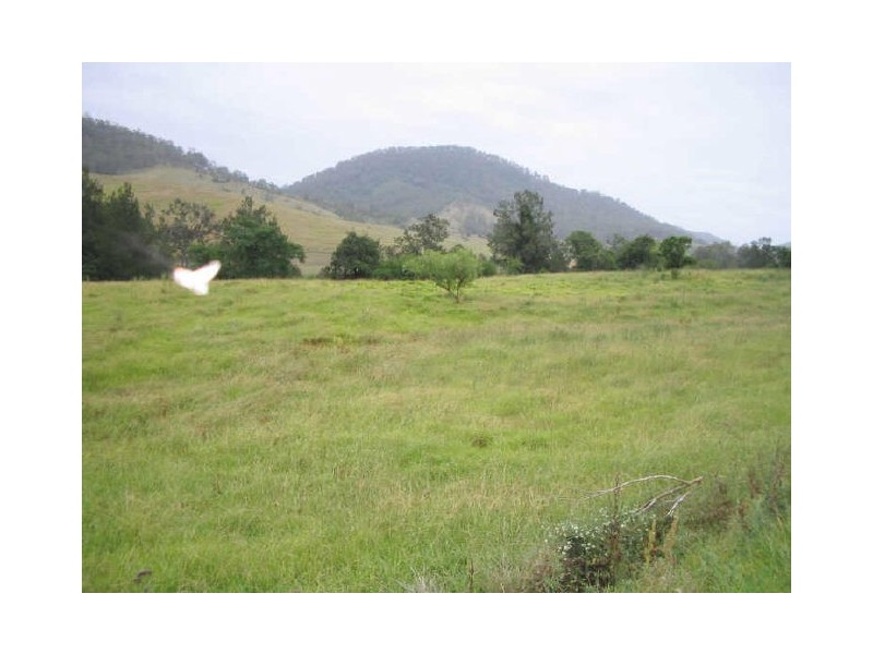 Mount George NSW 2424