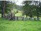 Mount George NSW 2424