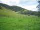 Mount George NSW 2424