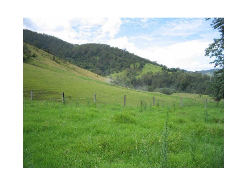 Mount George NSW 2424
