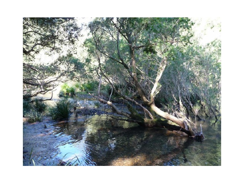 Mount George NSW 2424