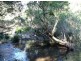 Mount George NSW 2424