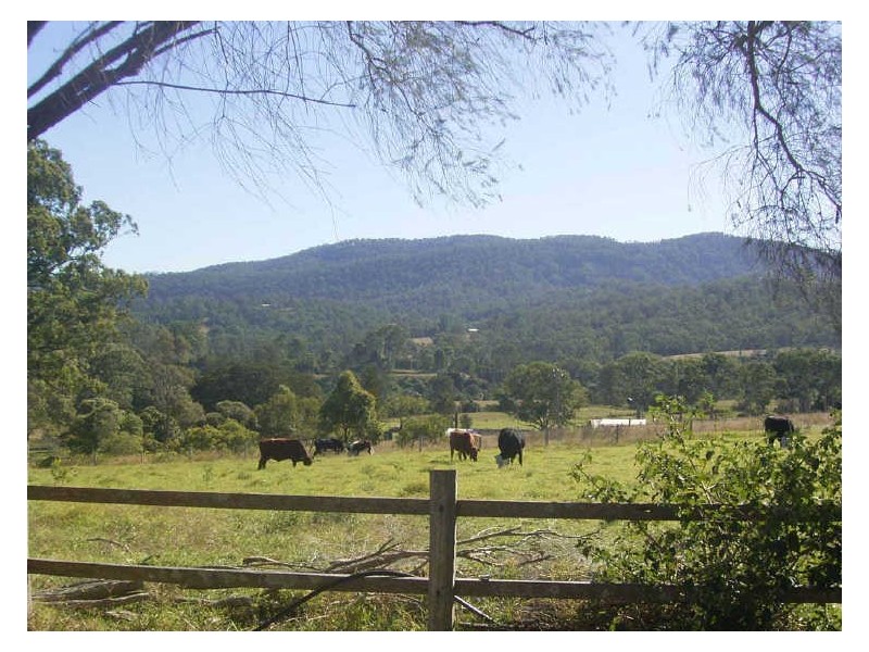 779 Kimbriki Road, Kimbriki NSW 2429