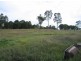 Wingham NSW 2429