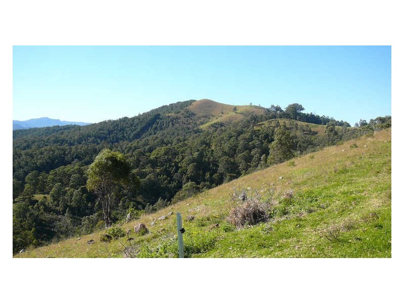 Wherrol Flat NSW 2429