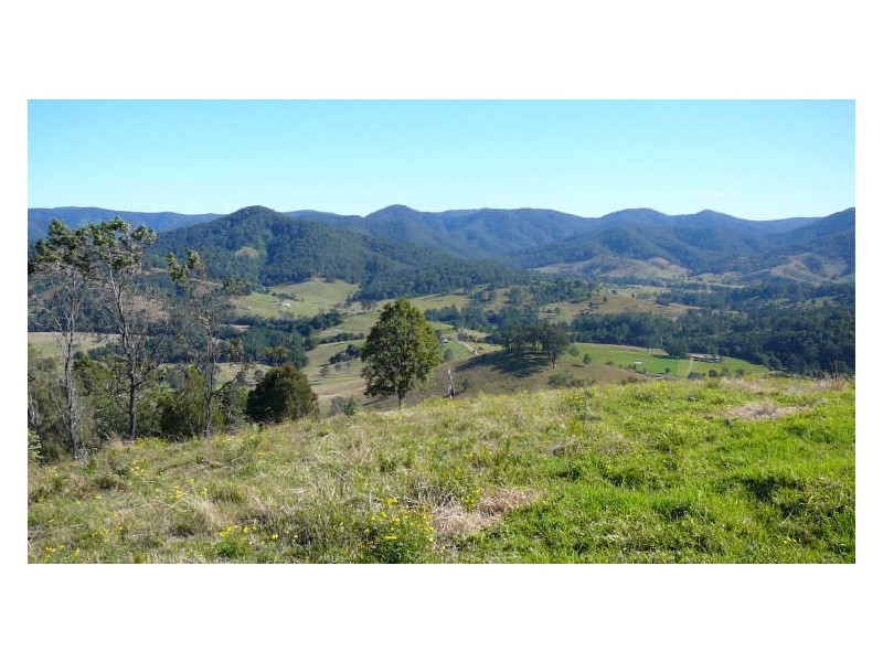 Wherrol Flat NSW 2429