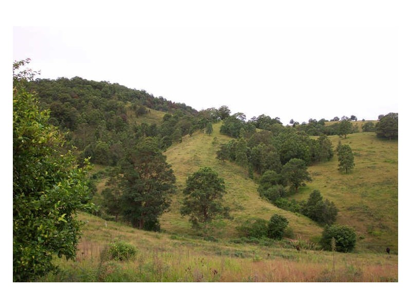 Wherrol Flat NSW 2429