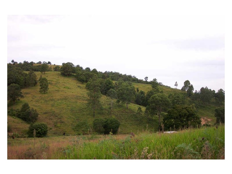 Wherrol Flat NSW 2429