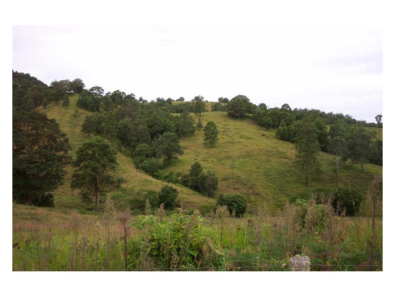 Wherrol Flat NSW 2429