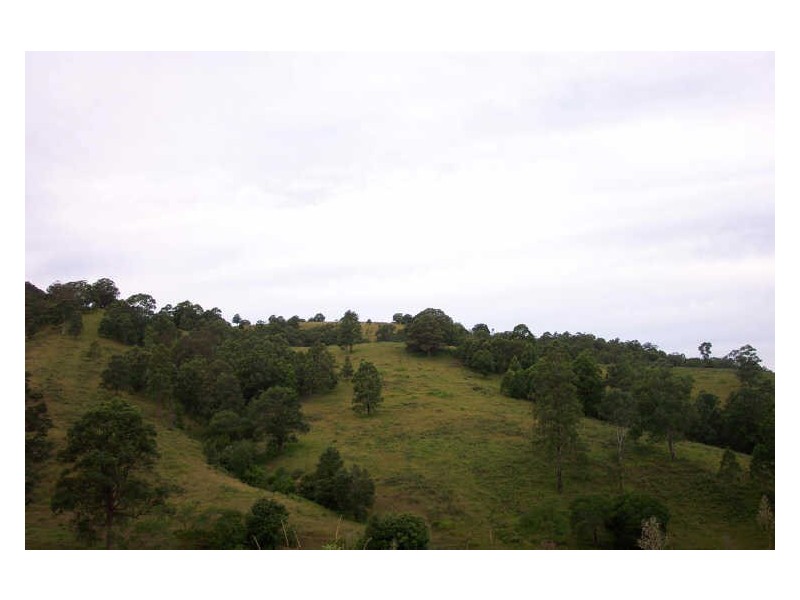 Wherrol Flat NSW 2429