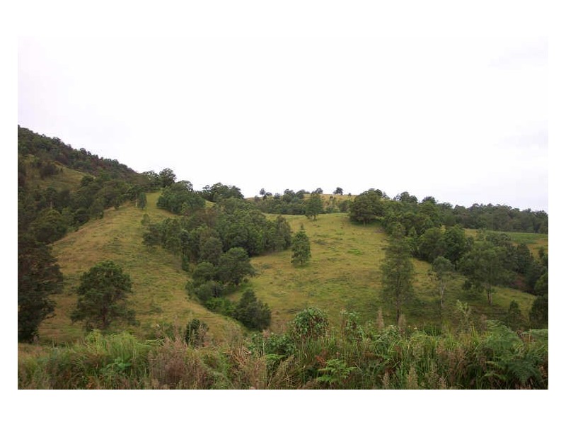 Wherrol Flat NSW 2429