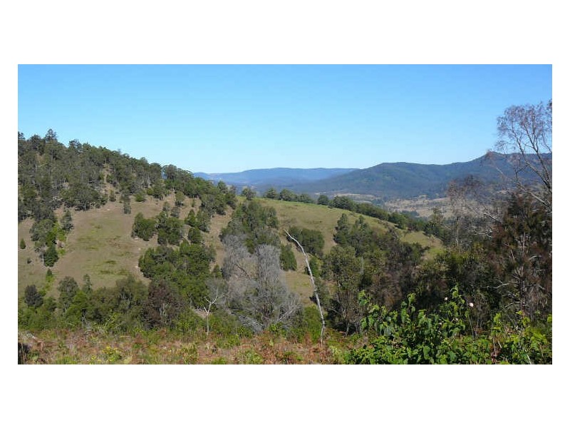 Wherrol Flat NSW 2429