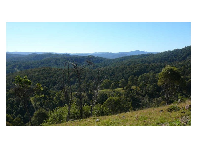 Wherrol Flat NSW 2429