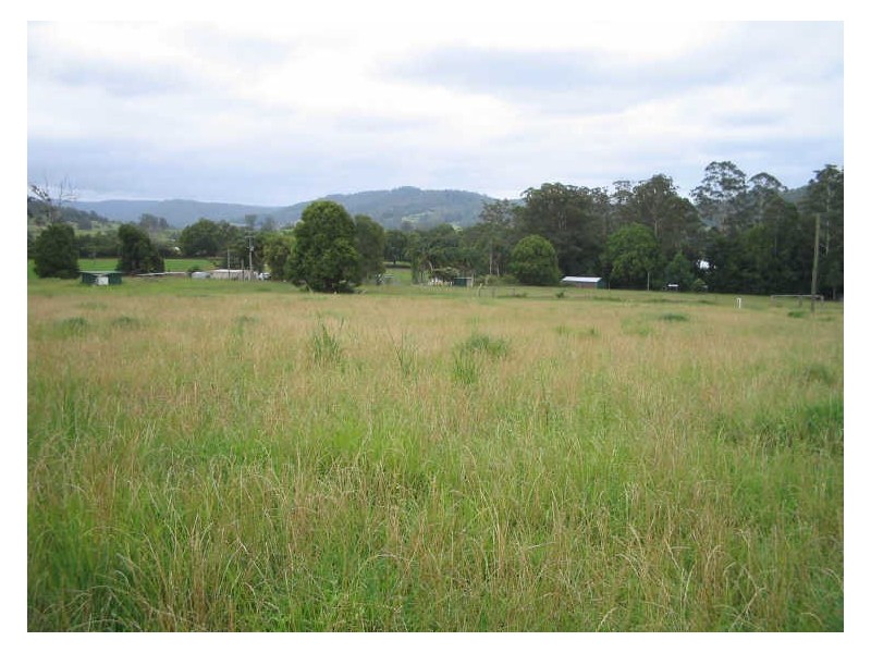 Hannam Vale NSW 2443