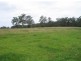 Hannam Vale NSW 2443