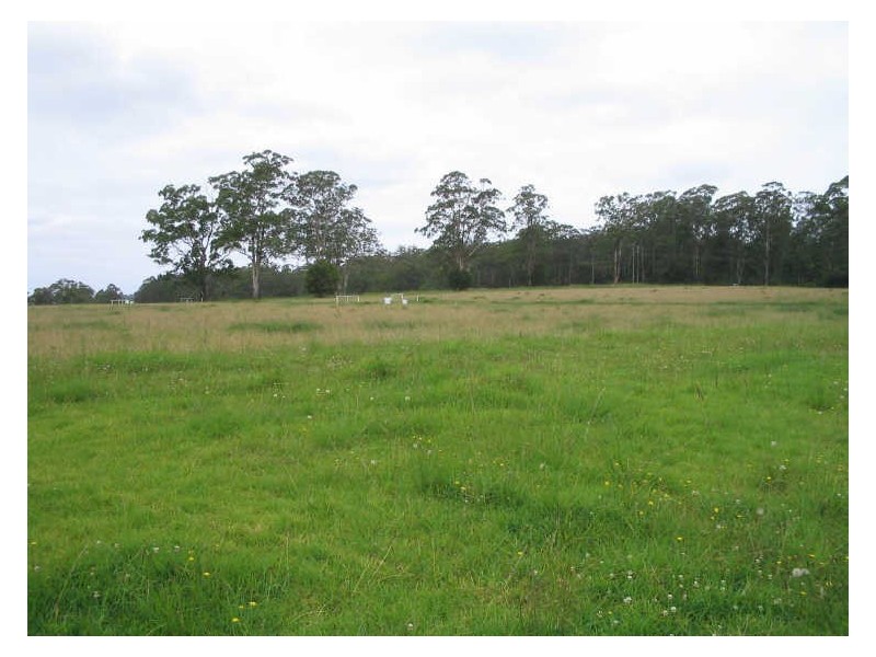 Hannam Vale NSW 2443