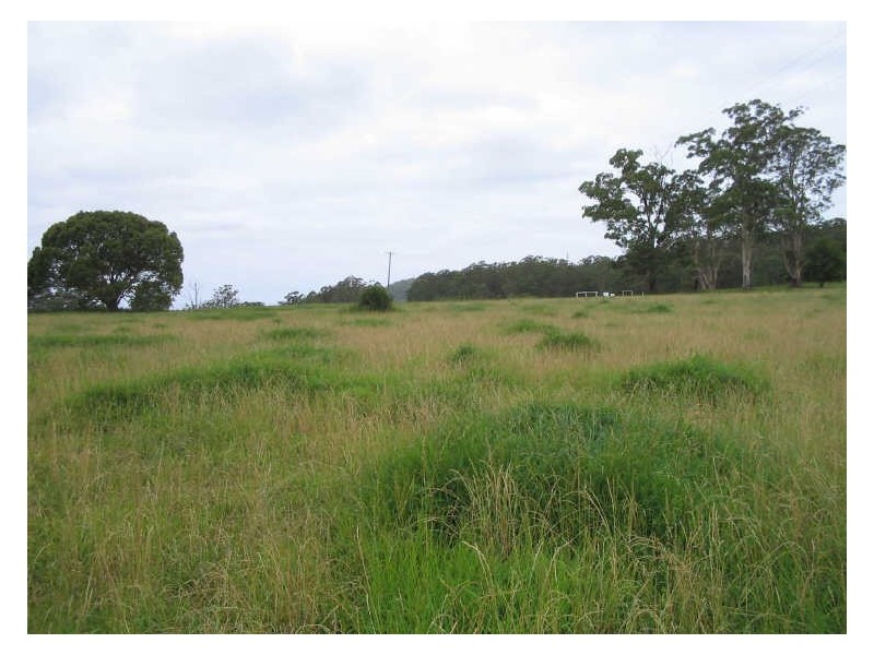 Hannam Vale NSW 2443
