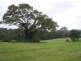 Hannam Vale NSW 2443