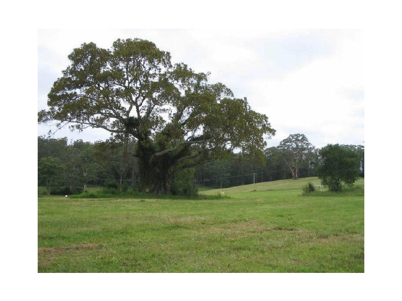 Hannam Vale NSW 2443