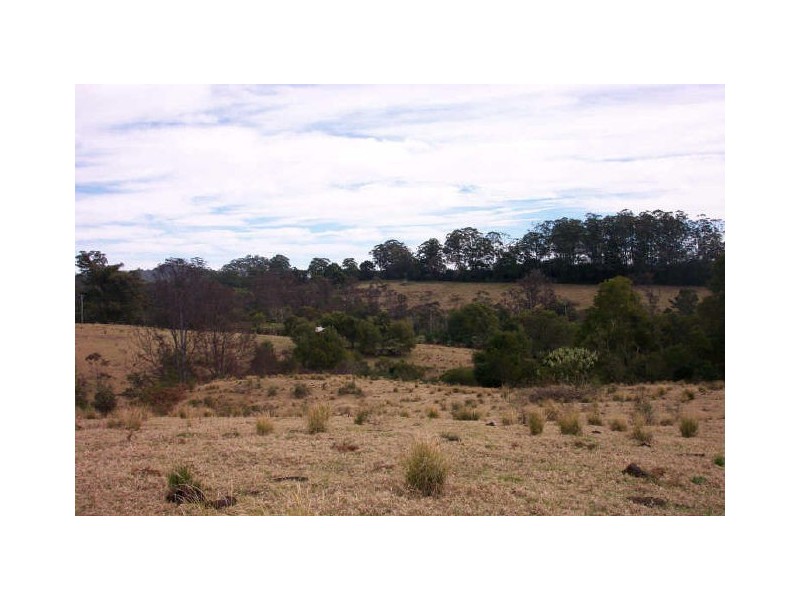 Elands NSW 2429